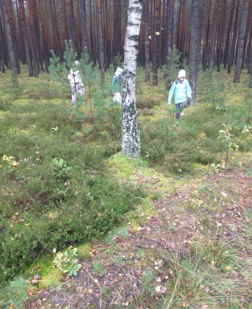 Poznaj swój park krajobrazowy 4B 2025_2